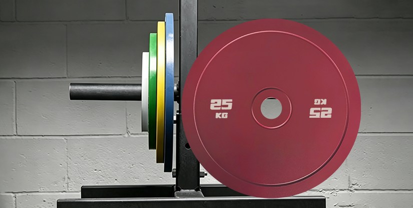 Painted Weight Plate Manufacturer: Factory Direct Supply